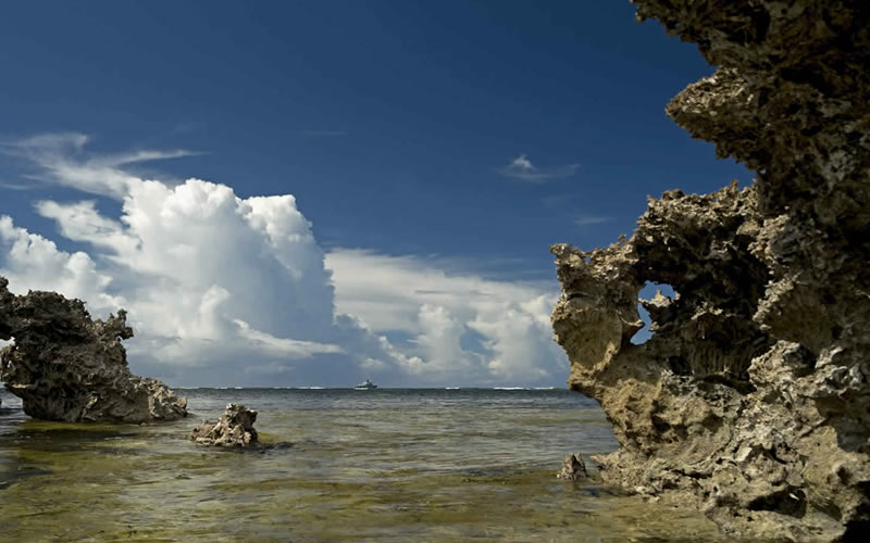 Cosmoledo